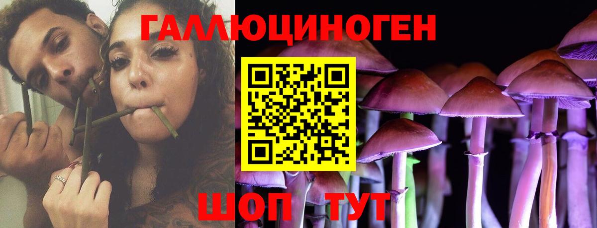 Губкин  Псилоцибиновые грибы ЛСД  Вход с VPN 